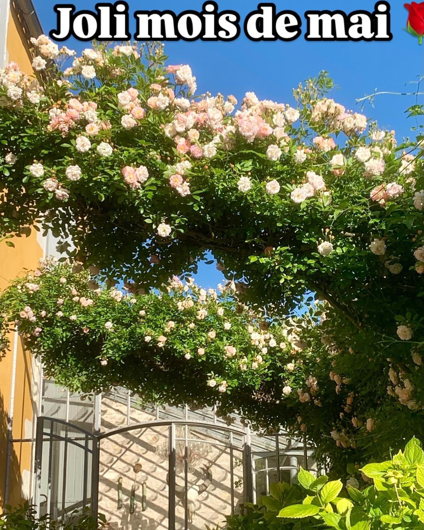 Bed & Breakfast D'hotes La Borderie Du Go Pres De La Rochelle - *